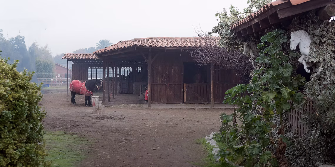 ruralidad maule