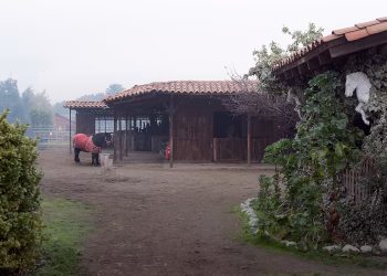 ruralidad maule