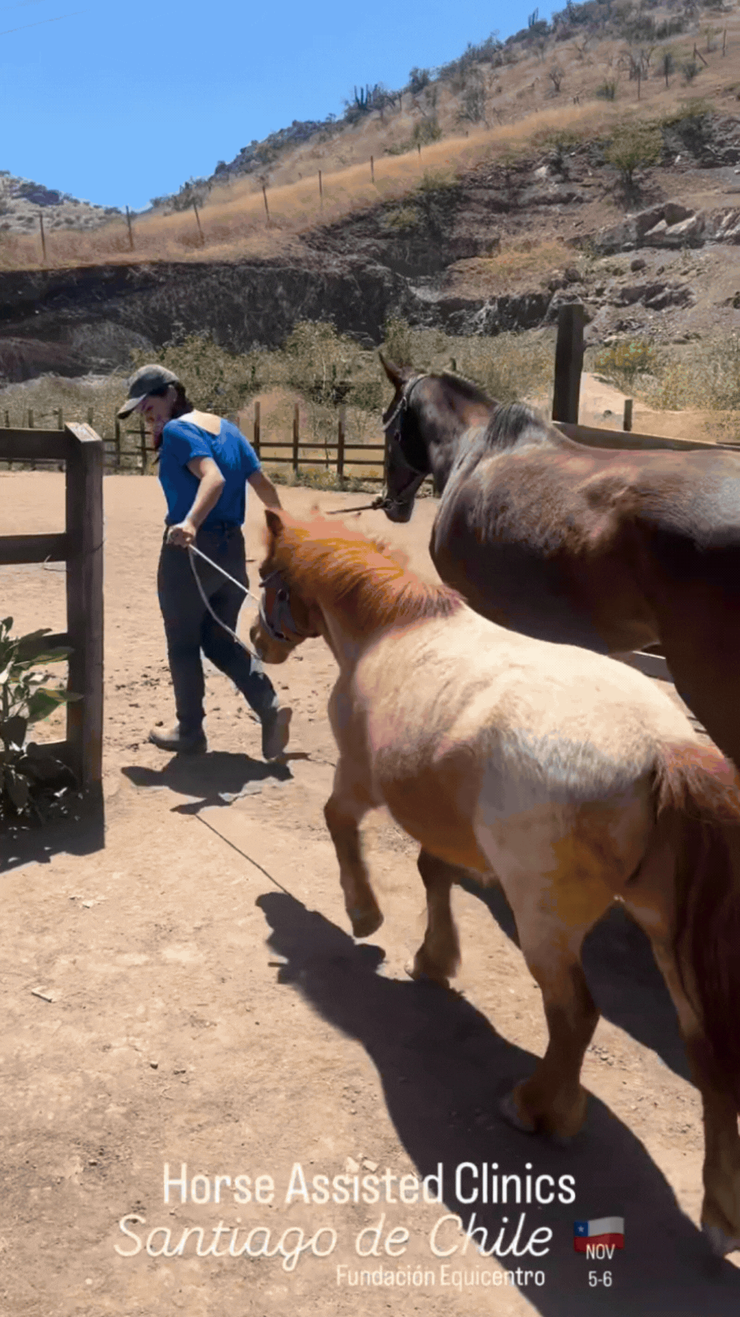 Eyleen y Pablo recibiendo la máxima acreditación internacional de manos del Dr. Alejandro Vela de Tequendama Horse Connection en las pistas del Fundo Talanquén, Colina, en noviembre de 2024.