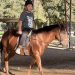 equinoterapia chile