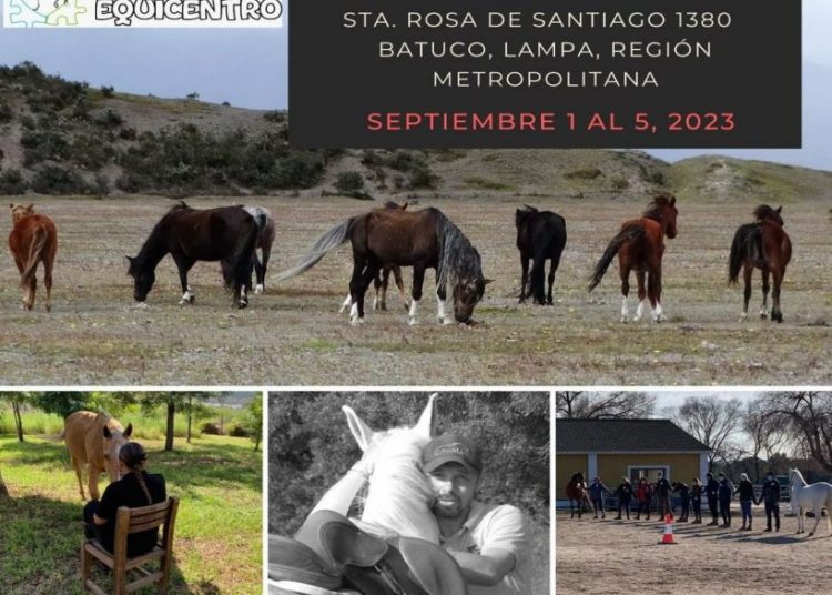 equinoterapia chile