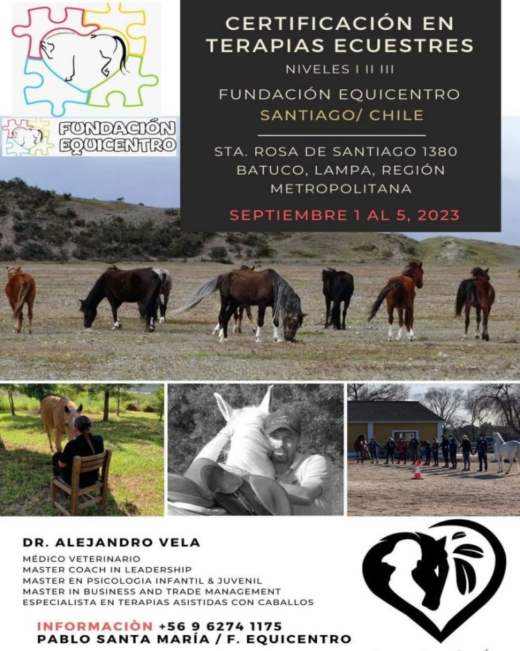equinoterapia chile