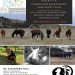 equinoterapia chile