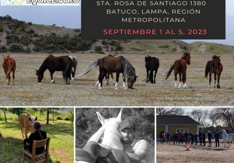 equinoterapia chile