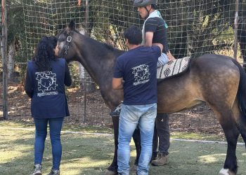 equicentro maule