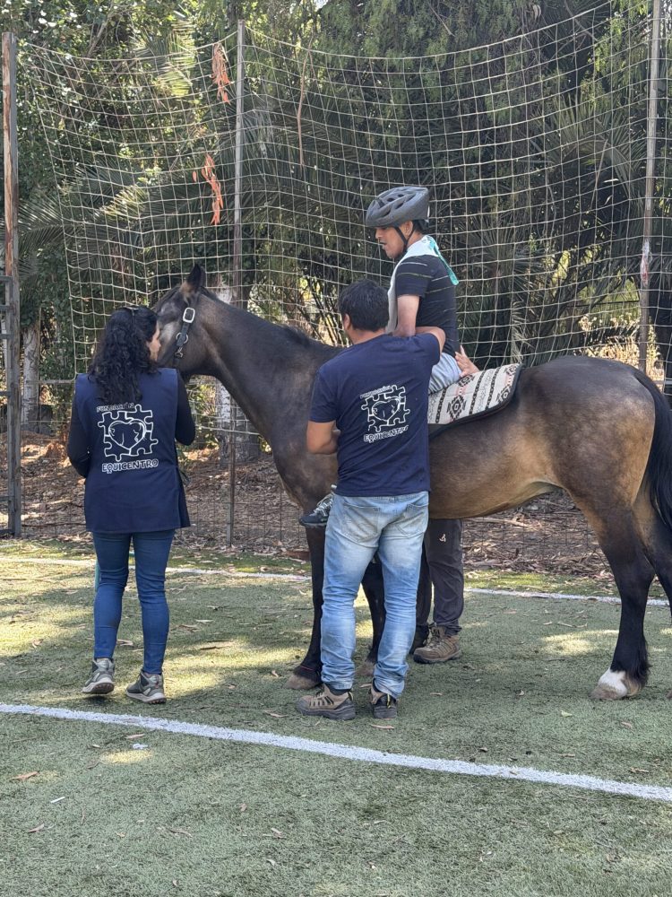 equicentro maule