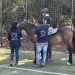 equicentro maule