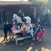 equicentro maule