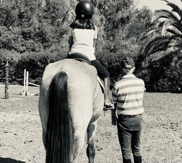 equicentro maule