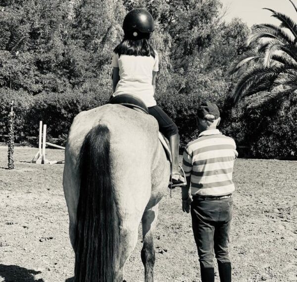 equicentro maule