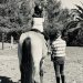 equicentro maule