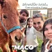 ruralidad maule