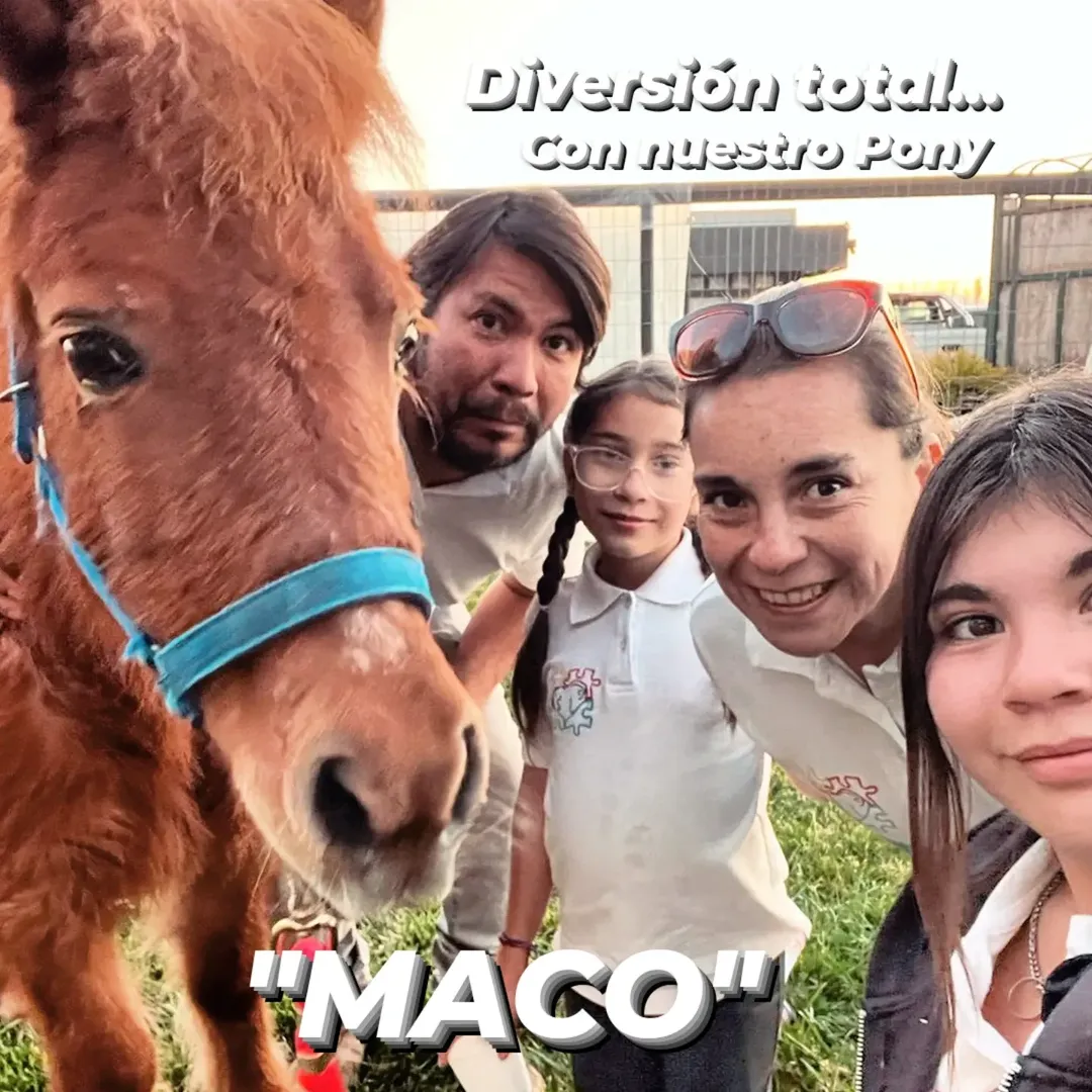 El pony Maco de la Fundación Equicentro preparado para actividades educativas y celebraciones infantiles en el Fundo Talanquén, Colina, durante septiembre de 2024.