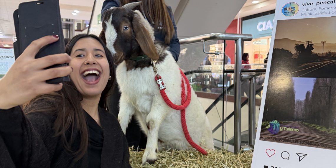 Una mujer sonríe y se toma una selfie junto al chivo Thor de Fundación Equicentro, el cual está posado sobre un fardo de paja en el Mall Portal Centro de Talca durante una feria regional.